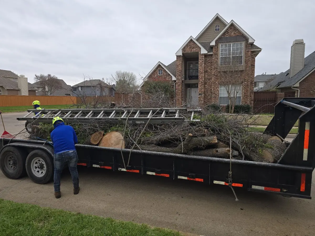 Expert Tree Fertilization with proper safety equipment in Quitman